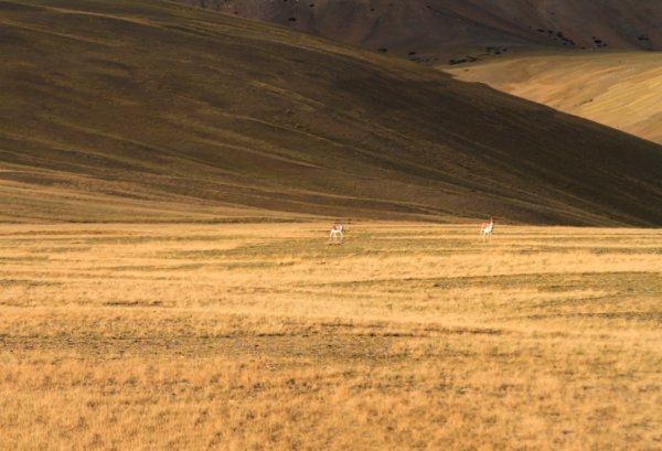 银河配资 保命级旅行指南
